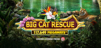 Play Big Cat Rescue Megaways at ICE36