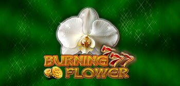 Play Burning Flower at ICE36