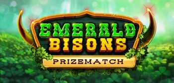 Play Emerald Bisons PrizeMatch at ICE36