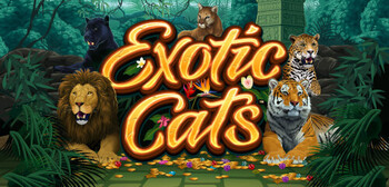 Play Exotic Cats at ICE36
