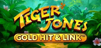 Play Gold Hit & Link: Tiger Jones at ICE36