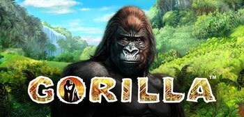 Play Gorilla at ICE36