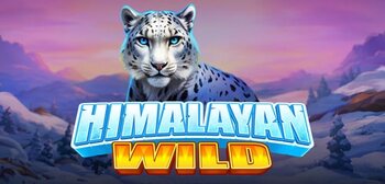 Play Himalayan Wild at ICE36