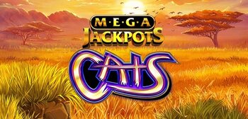 Play MegaJackpots Cats at ICE36