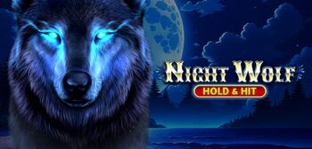 Play Night Wolf - Hold & Hit at ICE36