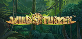 Play Wild Turkey at ICE36