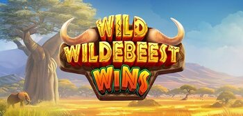 Play Wild Wildebeest Wins at ICE36
