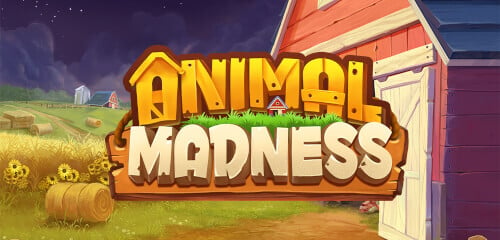 Play Animal Madness at ICE36 Casino