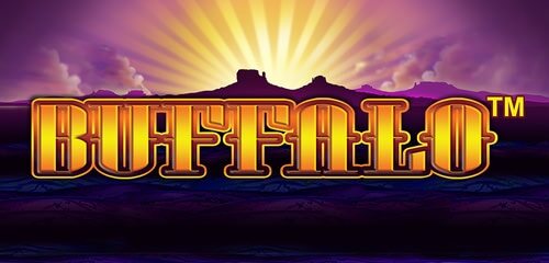 Play Top Online Slots | Prime Slots