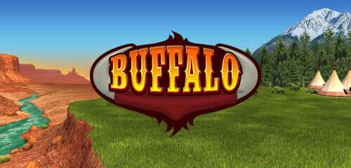 Juega Buffalo Bingo en ICE36 Casino con dinero real