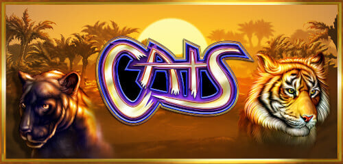 Play Cats at ICE36 Casino