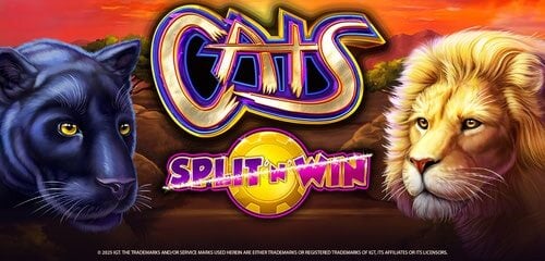 Juega Cats Split 'N' Win en ICE36 Casino con dinero real