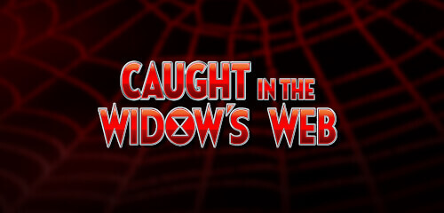 Caught in the Windows Web