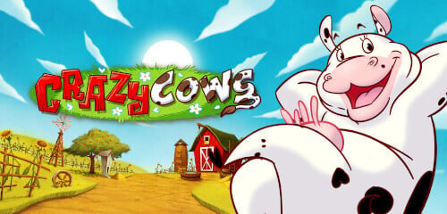 Play Crazy Cows at ICE36 Casino