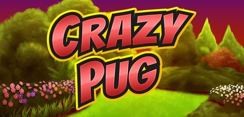 Play Top Online Slots | Prime Slots