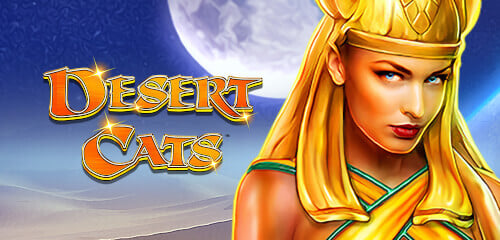 Play Desert Cats at ICE36 Casino