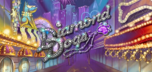Play Diamond Dogs at ICE36 Casino