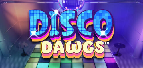 Play Disco Dawgs at ICE36 Casino