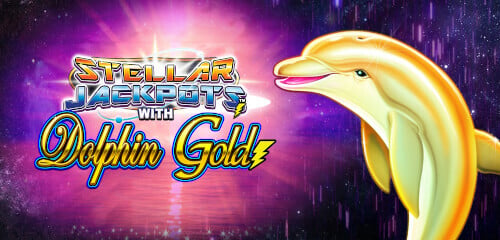Play Dolphin Gold Stellar Jackpots at ICE36 Casino