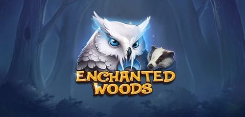 Play Enchanted Woods at ICE36 Casino