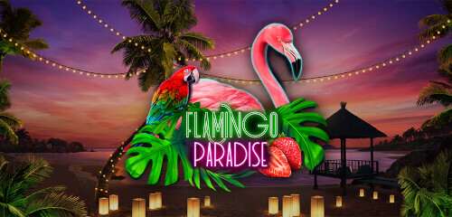 Play Flamingo Paradise at ICE36 Casino