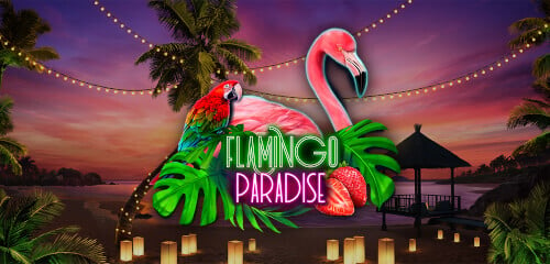 Flamingo Paradise