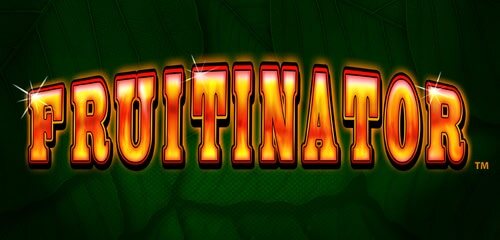 Play Top Online Slots | Prime Slots