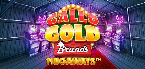 Play Gallo Gold Bruno's Megaways at ICE36 Casino