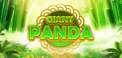 Play Giant Panda at ICE36 Casino