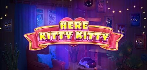 Play Here Kitty Kitty at ICE36 Casino