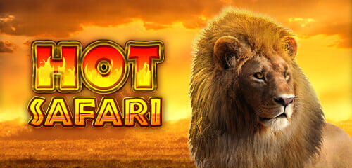 Play Hot Safari at ICE36 Casino