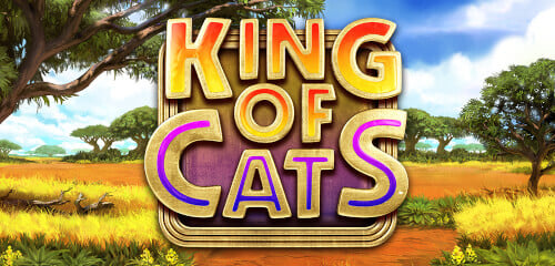Play King of Cats at ICE36 Casino