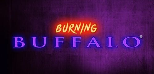 Play Link King Burning Buffalo at ICE36 Casino