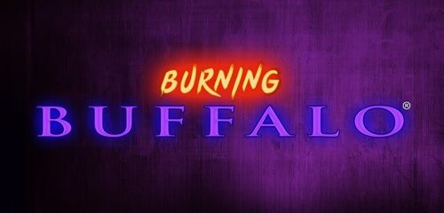 Link King Burning Buffalo