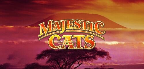 Play Majestic Cats at ICE36