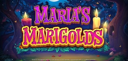 Play Maria's Marigolds at ICE36 Casino