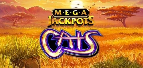 MegaJackpots Cats