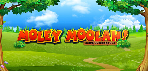 Play Moley Moolah (COM,UK) at ICE36 Casino