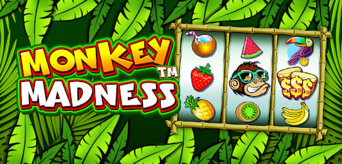 Play Monkey Madness at ICE36 Casino