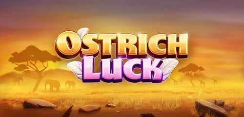 Play Ostrich Luck at ICE36 Casino