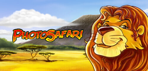 Play Photo Safari at ICE36 Casino