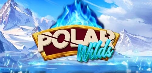 Play Polar Wilds at ICE36 Casino
