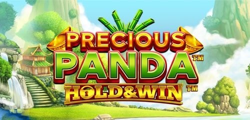 Play Precious Panda Hold and Win at ICE36 Casino