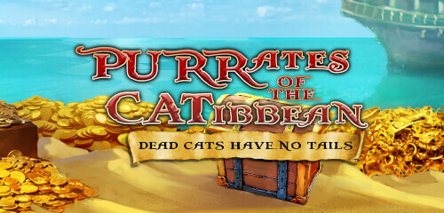 Purrates of the Catibbean