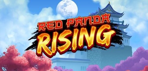 Play Red Panda Rising at ICE36 Casino
