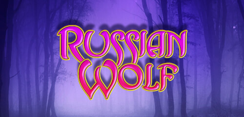 Russian Wolf