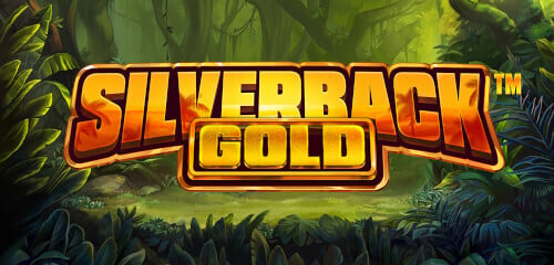 Play Silverback Gold at ICE36 Casino