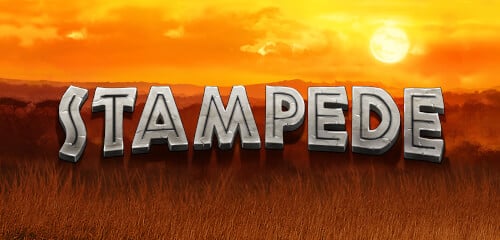 Play Stampede at ICE36 Casino