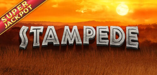 Play Stampede Jackpot at ICE36 Casino