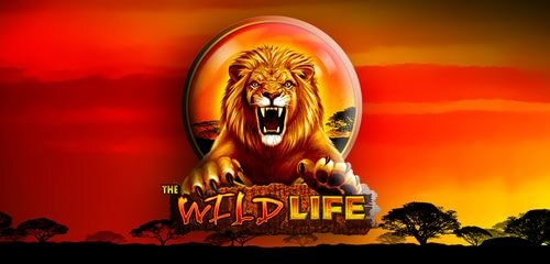 Play The Wild Life at ICE36 Casino